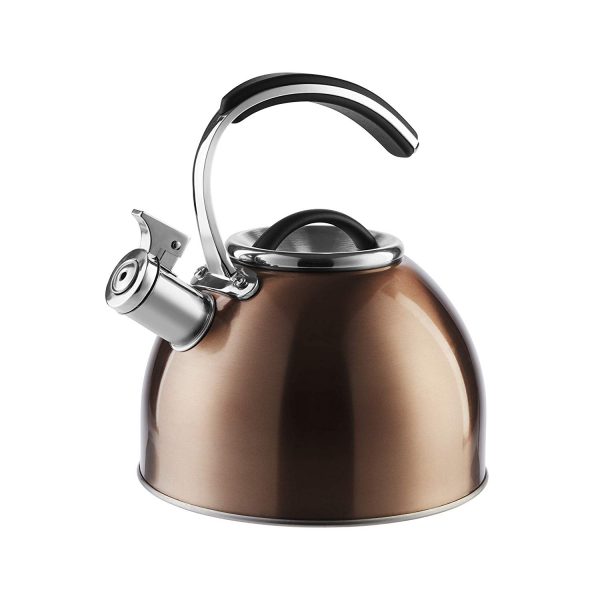 Morphy Richards Accents Whistling Kettle – Copper