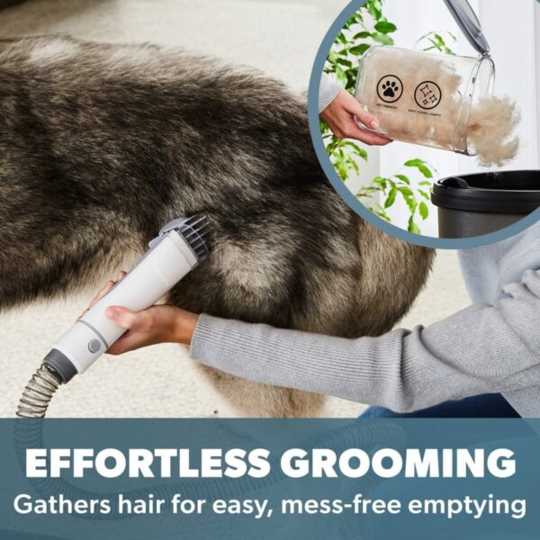 Daewoo FLR00162 Perfect Pet Grooming Vacuum Cleaner White - Image 2