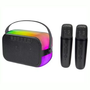 Easy Karaoke Portable Bluetooth Karaoke System